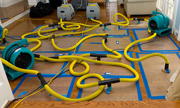 Professional Water Damage Restoration technician working in Flower Mound, TX